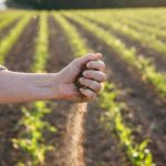 Aldilene Francisca de Moraes