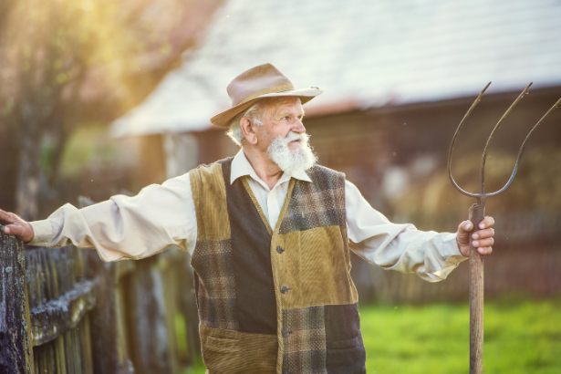 Agropecuária Grama Roxa Ltda