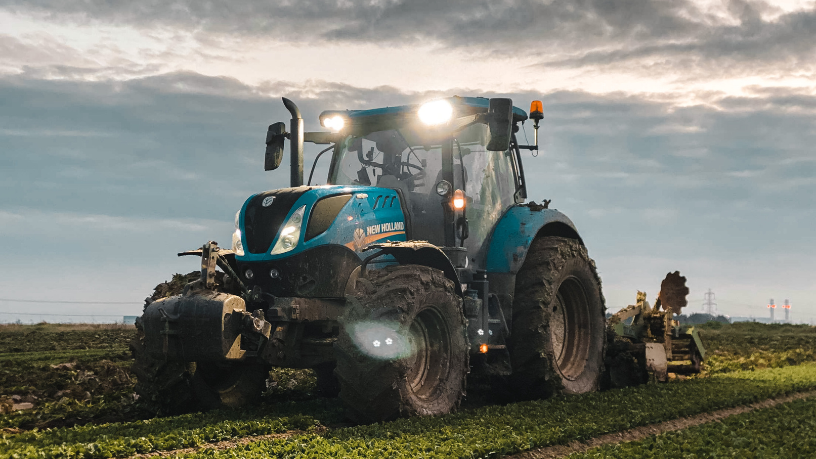 Agropecuária Grama Roxa Ltda