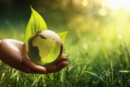 Márcio Velho da Silva