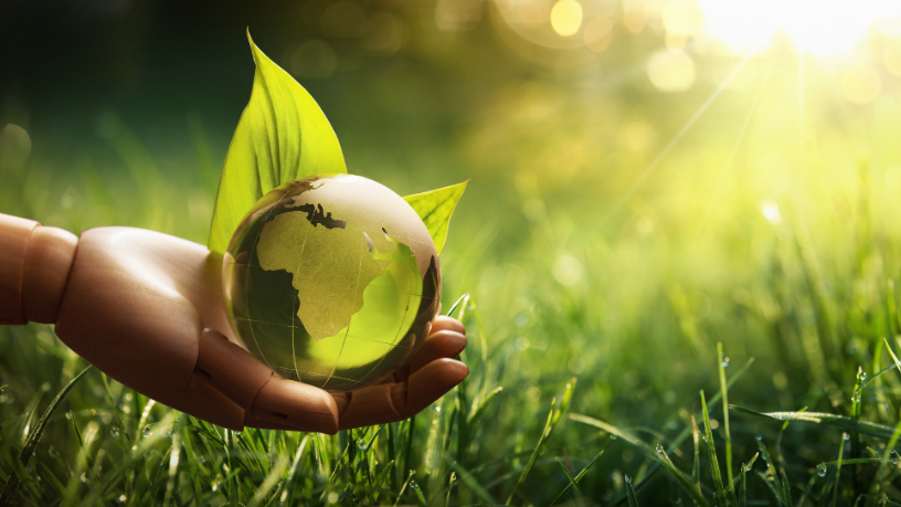 Márcio Velho da Silva