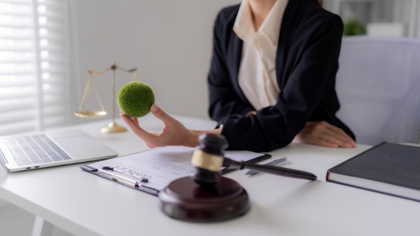 Gilmar Stelo e Stelo Advogados Associados