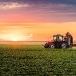 Parajara Moraes Alves Junior