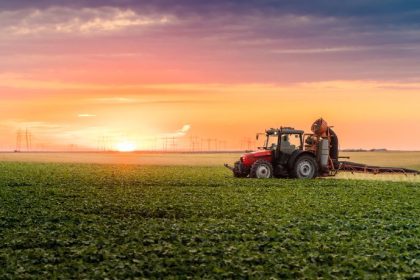 Parajara Moraes Alves Junior