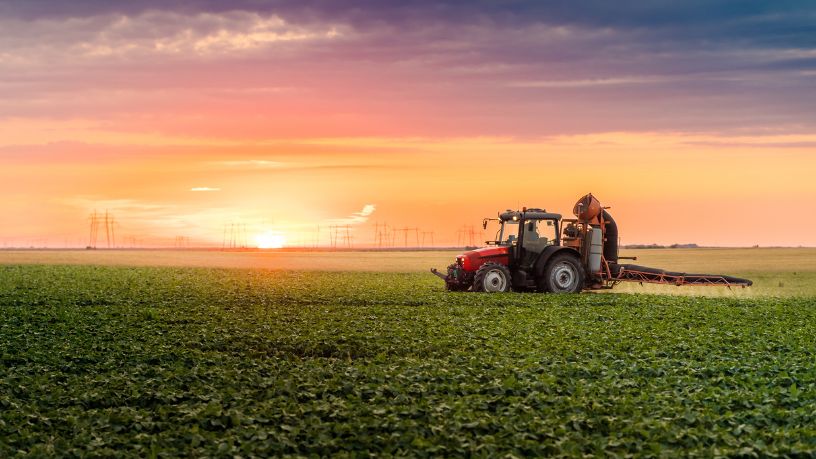 Parajara Moraes Alves Junior