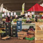 Pessoas fazem compras entre bancas de frutas e verduras em um mercado coberto de São Paulo.